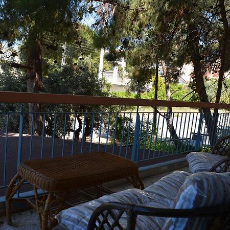 Spacious Apartment With Balconies, Ac, King Bed, Near Dt And Transports Athena Bagian luar foto