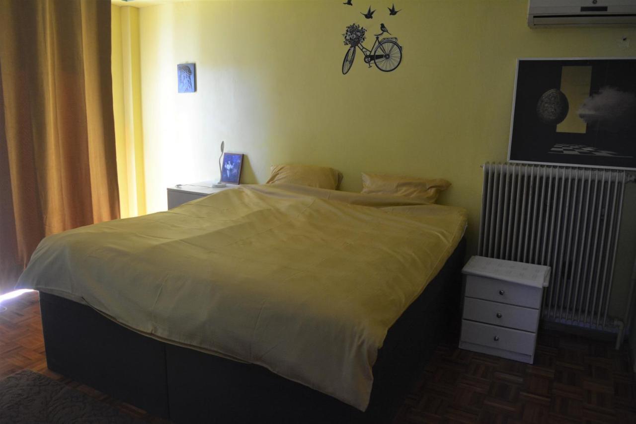 Spacious Apartment With Balconies, Ac, King Bed, Near Dt And Transports Athena Bagian luar foto